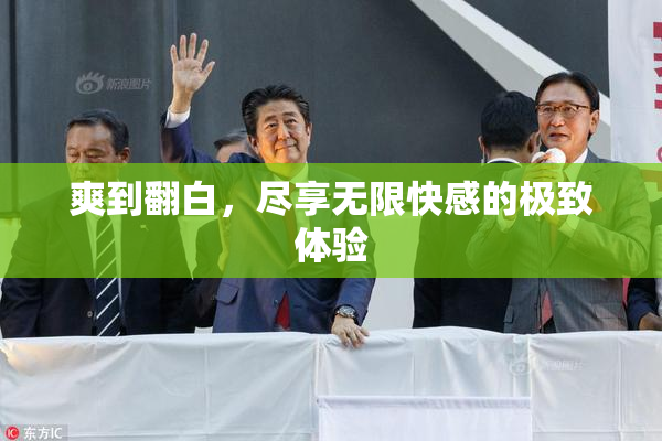 爽到翻白，尽享无限快感的极致体验