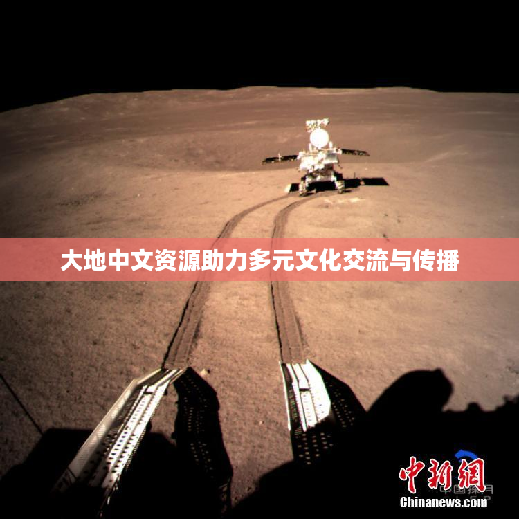 大地中文资源助力多元文化交流与传播