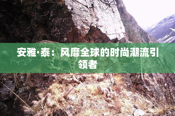 安雅·泰：风靡全球的时尚潮流引领者