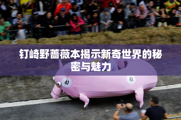 钉崎野蔷薇本揭示新奇世界的秘密与魅力