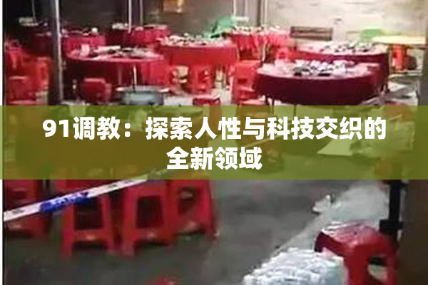 91调教：探索人性与科技交织的全新领域