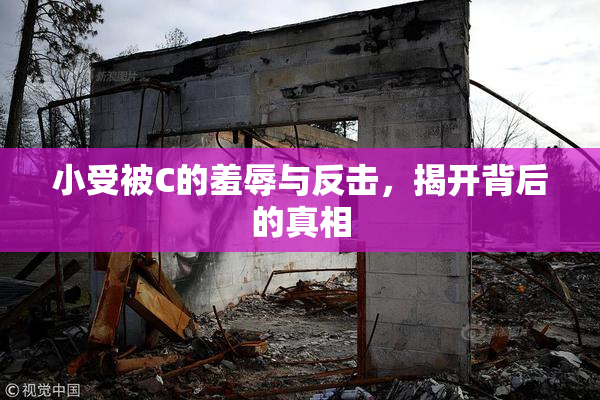 小受被C的羞辱与反击，揭开背后的真相