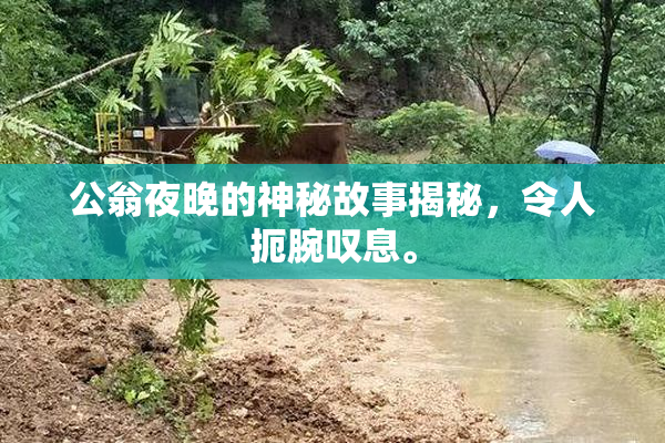 公翁夜晚的神秘故事揭秘，令人扼腕叹息。