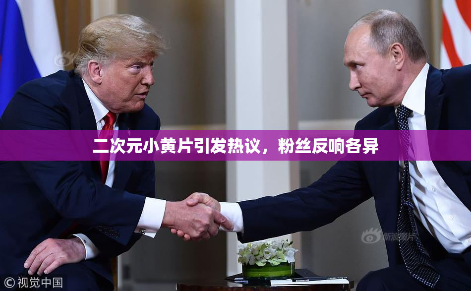 二次元小黄片引发热议，粉丝反响各异