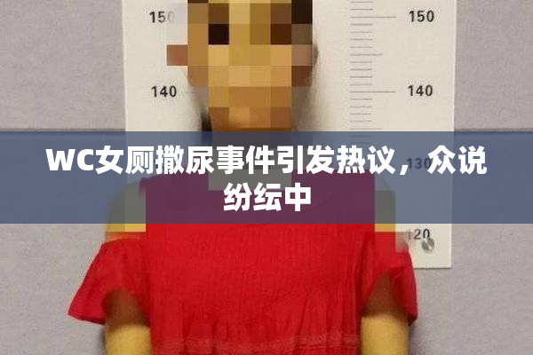 WC女厕撒尿事件引发热议，众说纷纭中