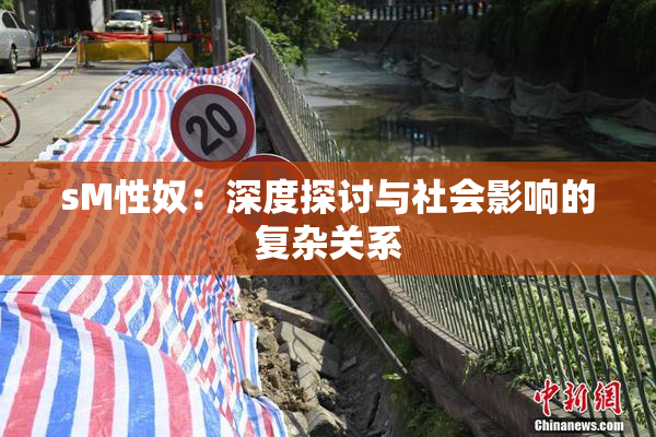 sM性奴：深度探讨与社会影响的复杂关系