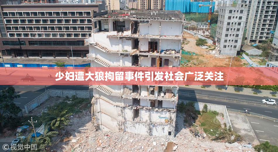 少妇遭大狼拘留事件引发社会广泛关注