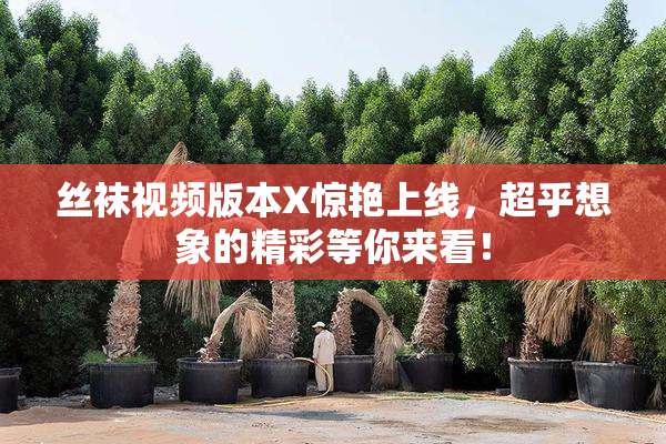 丝袜视频版本X惊艳上线，超乎想象的精彩等你来看！