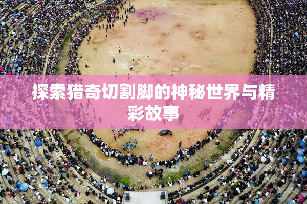 探索猎奇切割脚的神秘世界与精彩故事