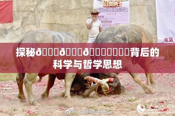 探秘🍆🍑🔞❌‌❌‌背后的科学与哲学思想