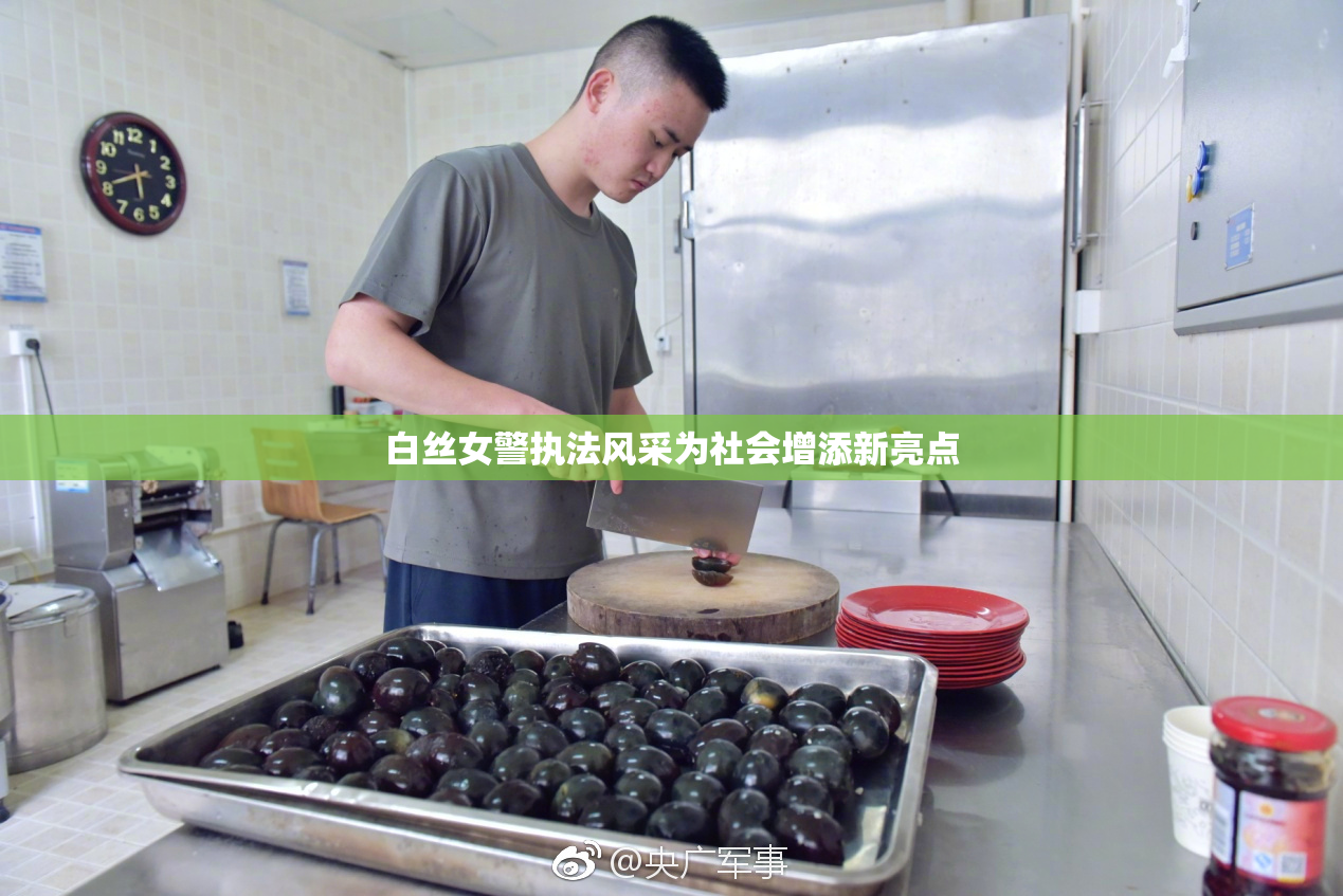 白丝女警执法风采为社会增添新亮点