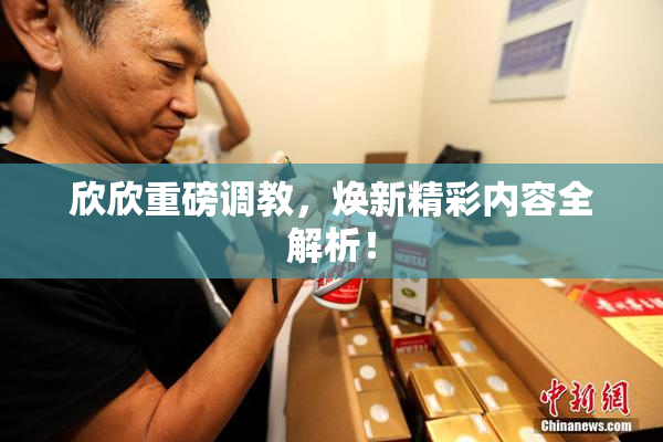 欣欣重磅调教，焕新精彩内容全解析！