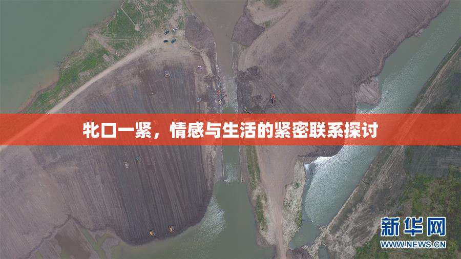 牝口一紧，情感与生活的紧密联系探讨
