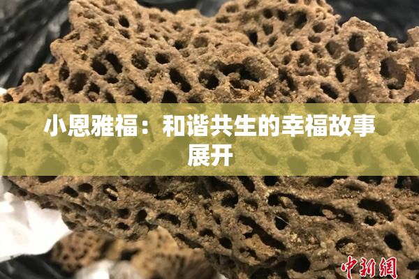 小恩雅福：和谐共生的幸福故事展开