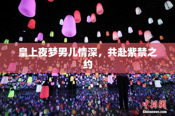 皇上夜梦男儿情深，共赴紫禁之约