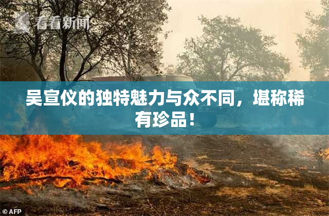 吴宣仪的独特魅力与众不同，堪称稀有珍品！
