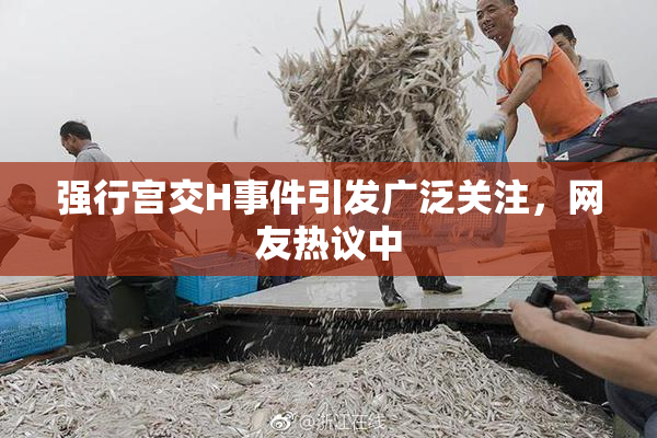 强行宫交H事件引发广泛关注，网友热议中