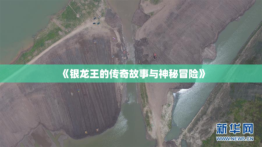 《银龙王的传奇故事与神秘冒险》