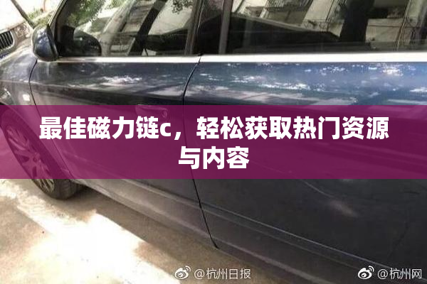 最佳磁力链c，轻松获取热门资源与内容
