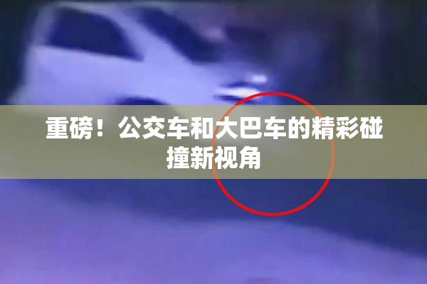 重磅！公交车和大巴车的精彩碰撞新视角