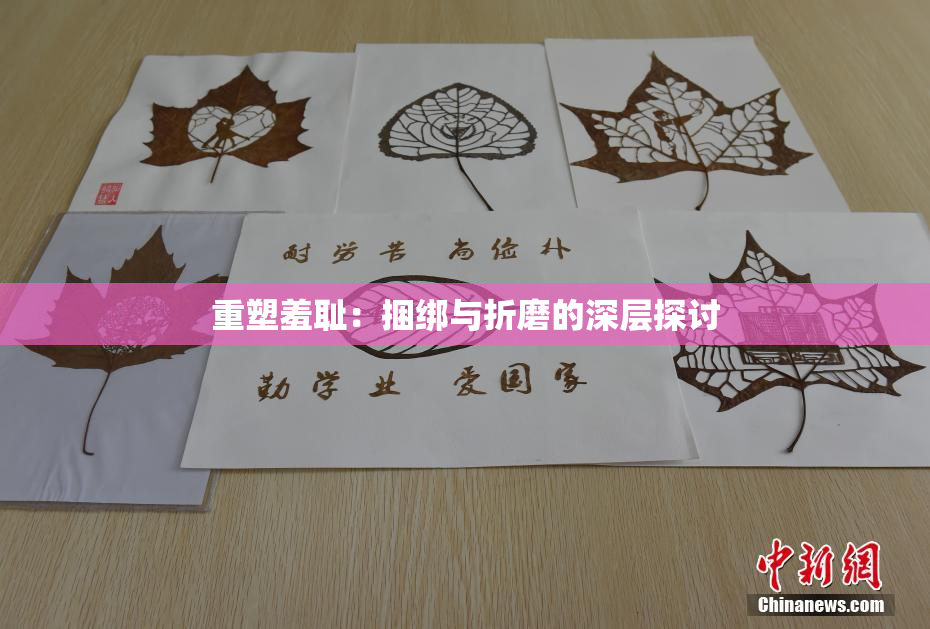 重塑羞耻：捆绑与折磨的深层探讨