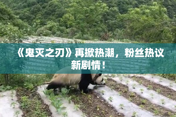 《鬼灭之刃》再掀热潮，粉丝热议新剧情！