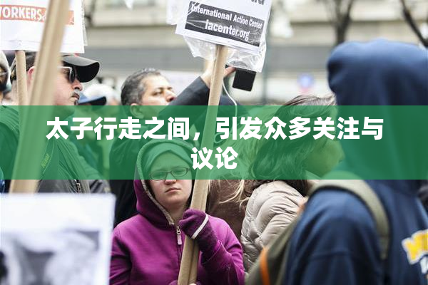 太子行走之间，引发众多关注与议论
