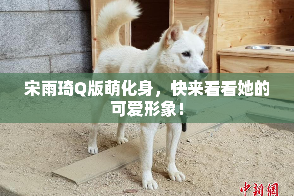 宋雨琦Q版萌化身，快来看看她的可爱形象！