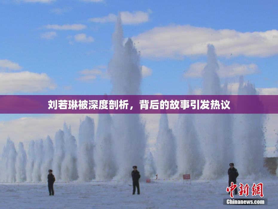 刘若琳被深度剖析，背后的故事引发热议
