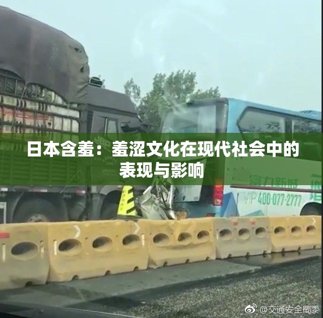 日本含羞：羞涩文化在现代社会中的表现与影响
