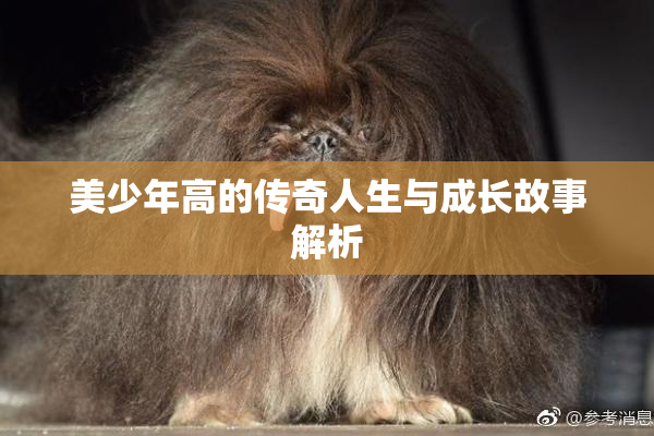 美少年高的传奇人生与成长故事解析