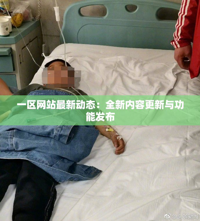 一区网站最新动态：全新内容更新与功能发布