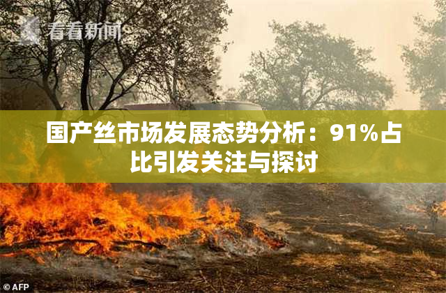 国产丝市场发展态势分析：91%占比引发关注与探讨