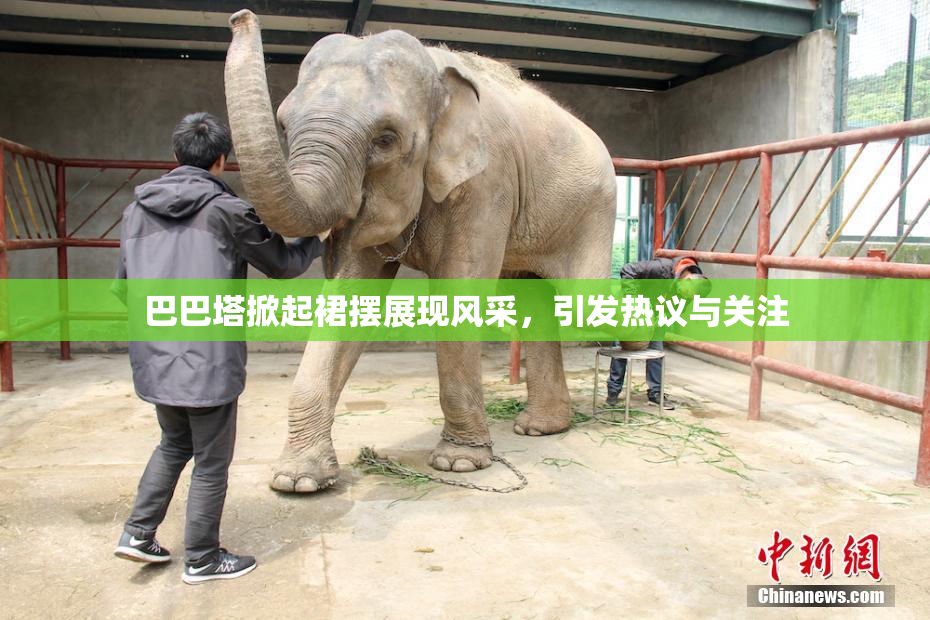 巴巴塔掀起裙摆展现风采，引发热议与关注