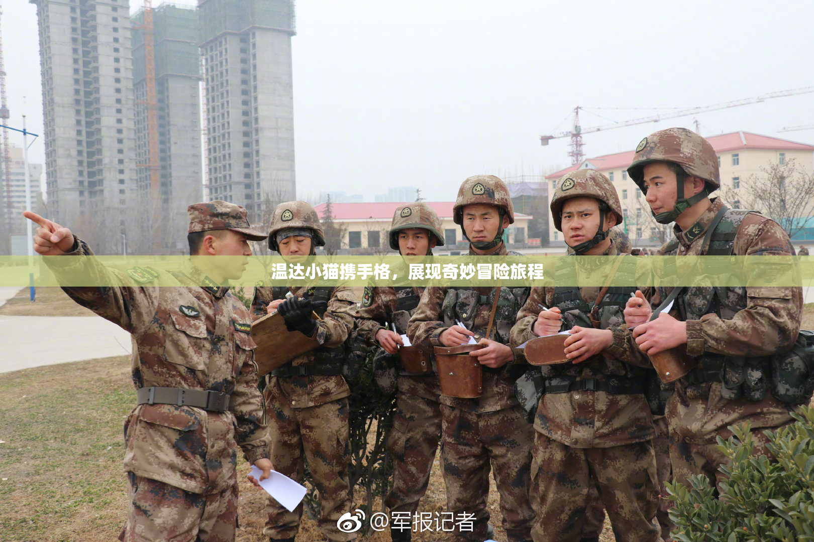 温达小猫携手格，展现奇妙冒险旅程