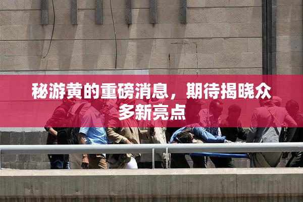 秘游黄的重磅消息，期待揭晓众多新亮点