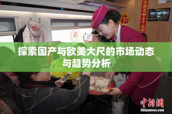 探索国产与欧美大尺的市场动态与趋势分析