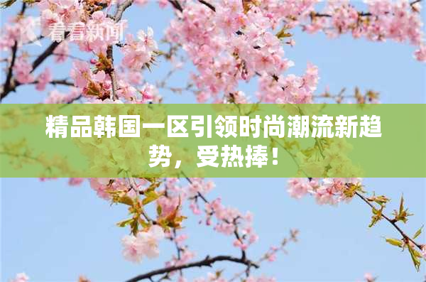 精品韩国一区引领时尚潮流新趋势，受热捧！