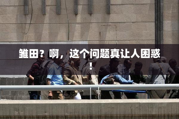 雏田？啊，这个问题真让人困惑！