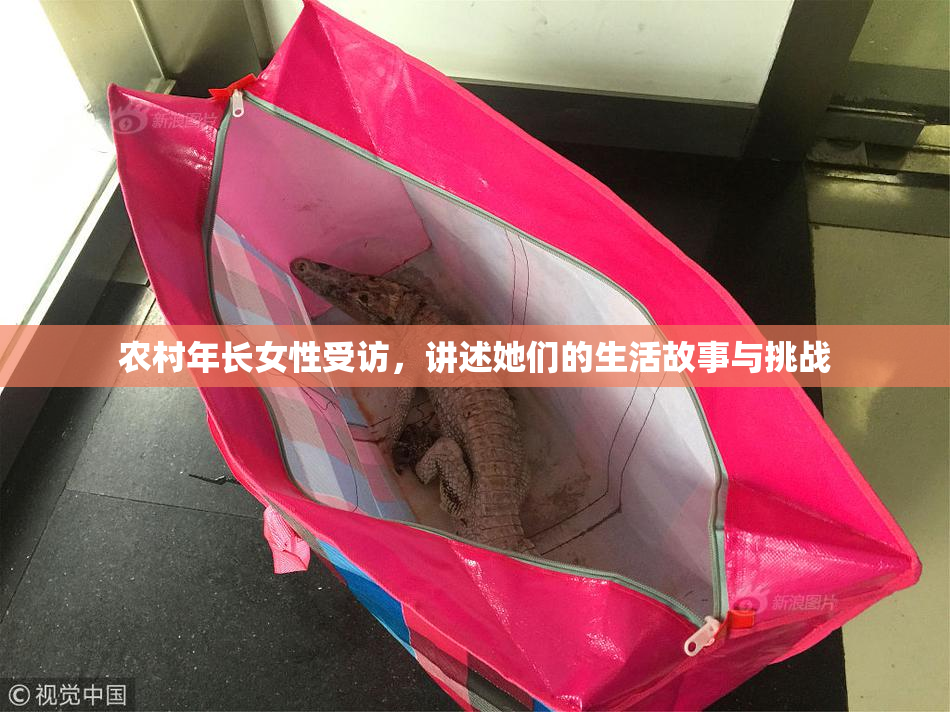 农村年长女性受访，讲述她们的生活故事与挑战