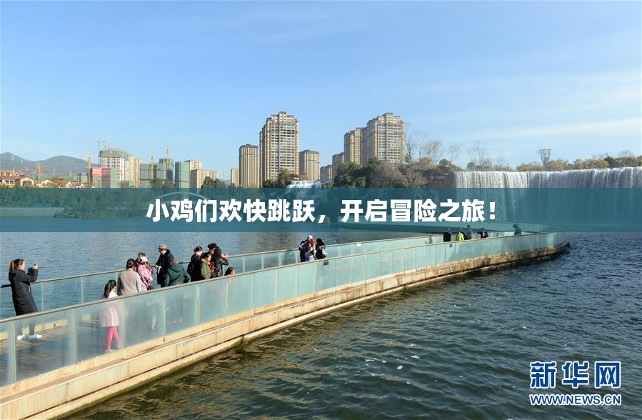 小鸡们欢快跳跃，开启冒险之旅！