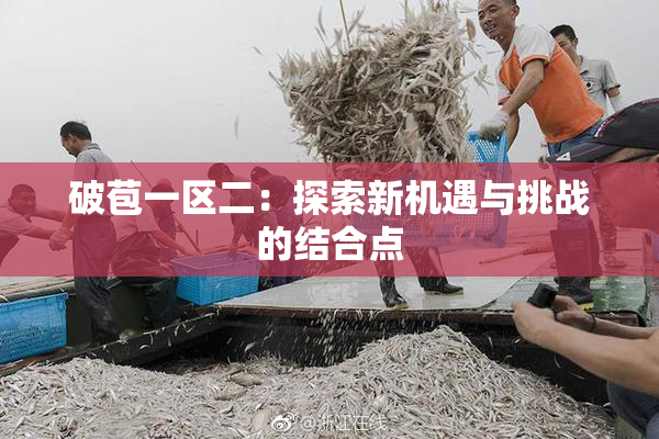 破苞一区二：探索新机遇与挑战的结合点