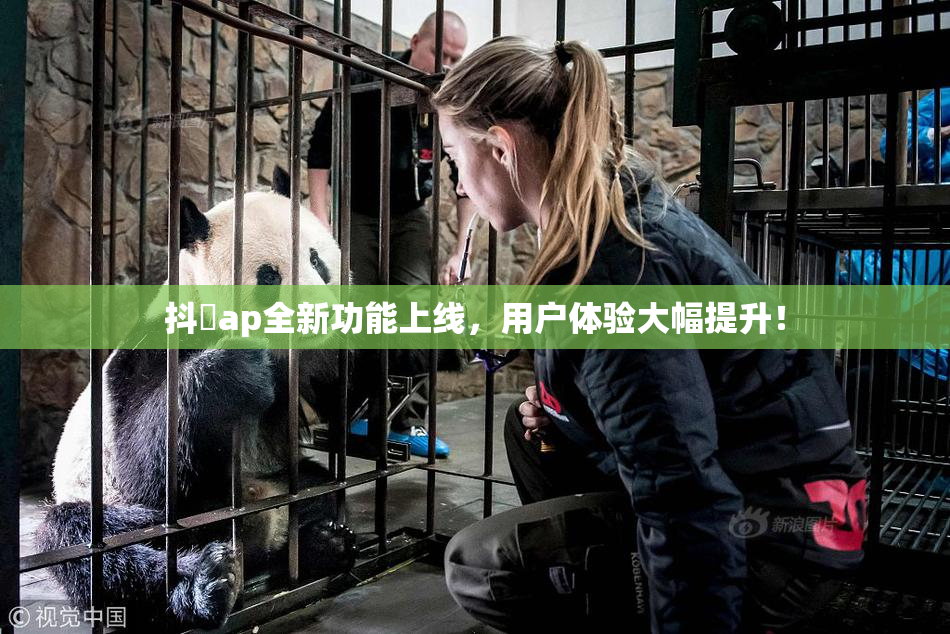 抖抈ap全新功能上线，用户体验大幅提升！