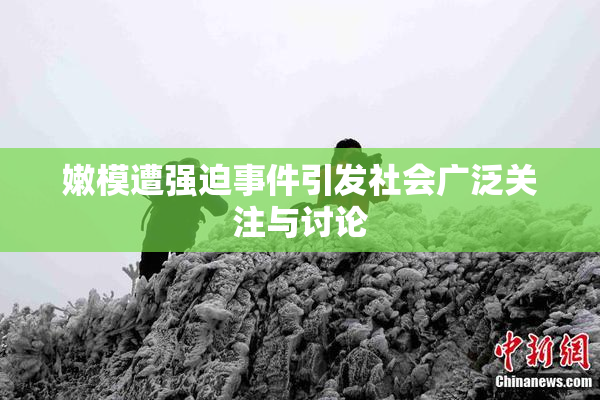 嫩模遭强迫事件引发社会广泛关注与讨论