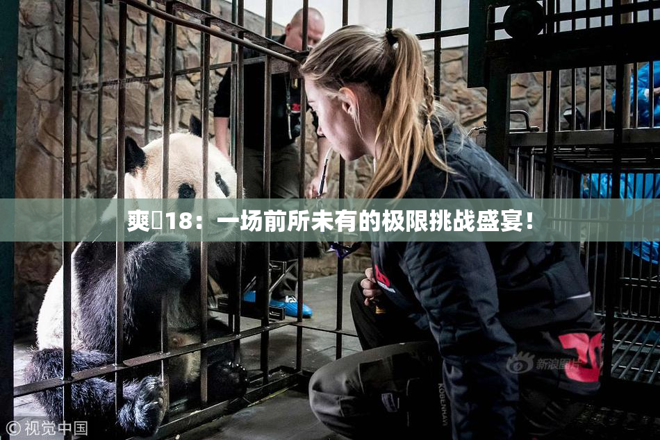 爽擼18：一场前所未有的极限挑战盛宴！