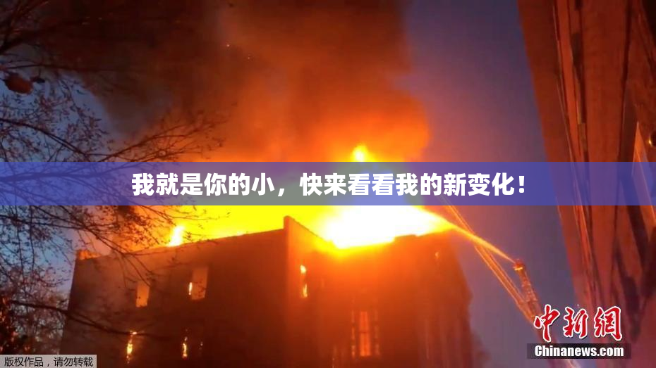 我就是你的小，快来看看我的新变化！