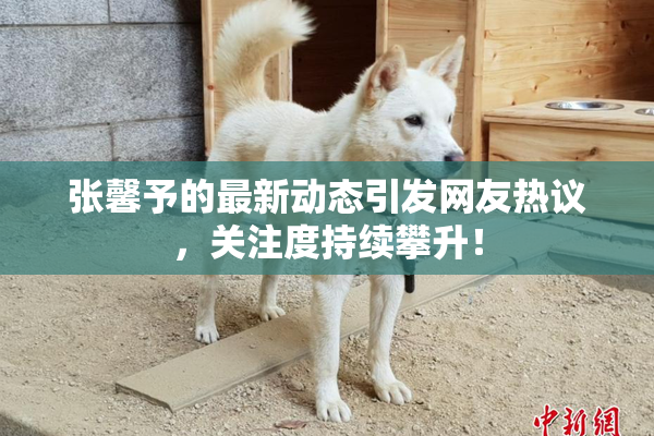 张馨予的最新动态引发网友热议，关注度持续攀升！