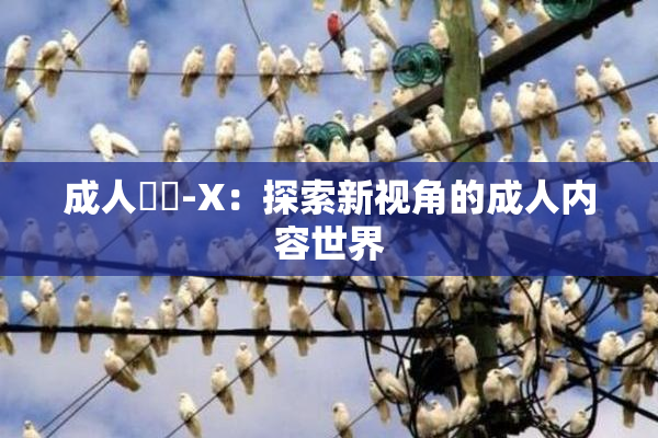 成人視頻-X：探索新视角的成人内容世界