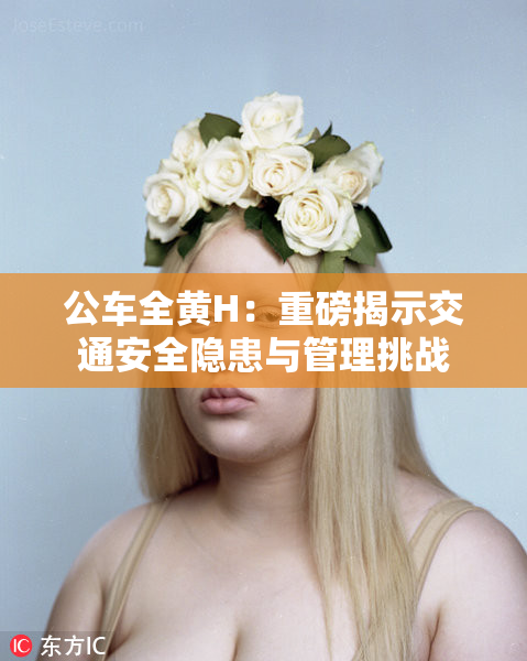 公车全黄H：重磅揭示交通安全隐患与管理挑战