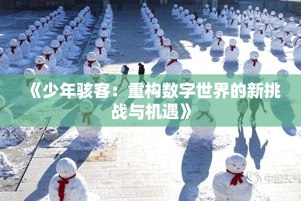 《少年骇客：重构数字世界的新挑战与机遇》